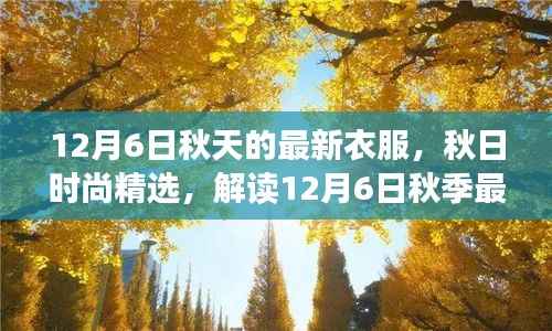 解读秋季时尚精选,12月6日最新衣物潮流趋势的秋日时尚指南