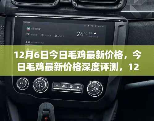 12月6日毛鸡最新价格深度解析,市场观察与全方位解读