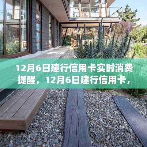 建行信用卡消费提醒,开启自然之旅,探寻宁静胜地