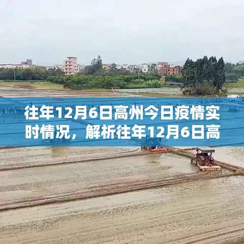 往年12月6日高州疫情实时情况深度解析与观点阐述