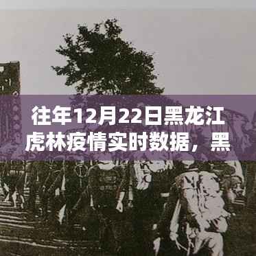 黑龙江虎林疫情回顾，往年12月22日实时数据与影响分析