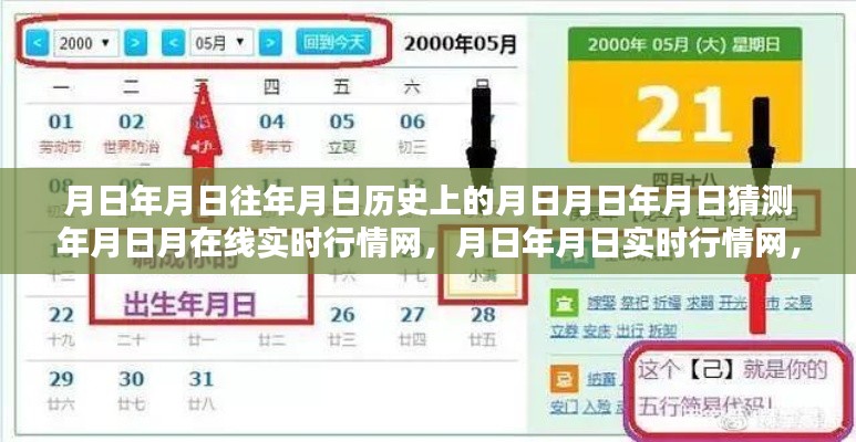 月日年月日实时行情网评测与使用指南,历史行情、实时动态一网打尽