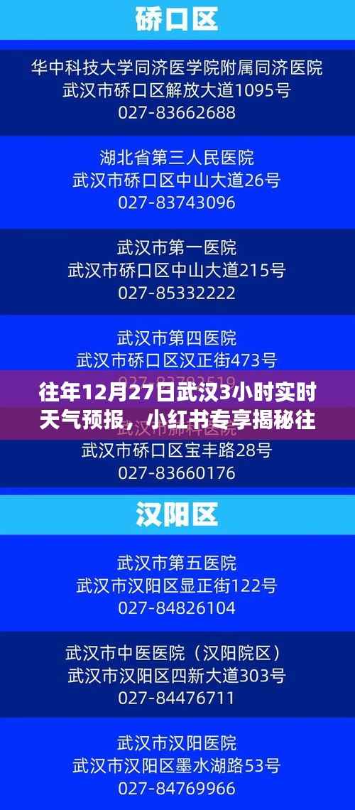揭秘往年12月27日武汉三小时实时天气预报,小红书天气预报助你应对天气变化!