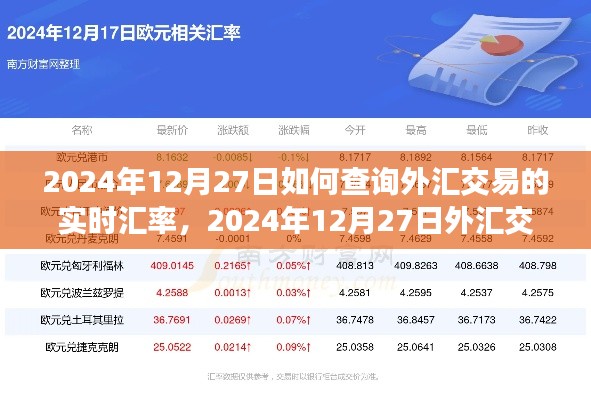 2024年12月27日外汇交易实时汇率查询指南与解析