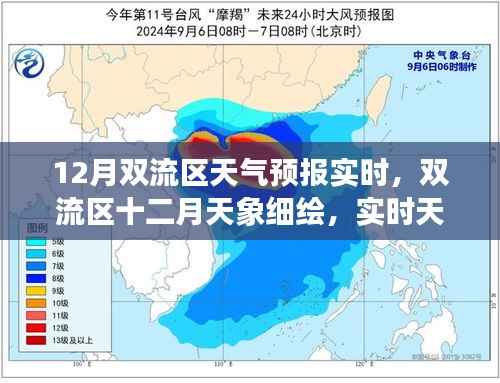 双流区12月天气预报及天象深度解析,实时数据与气象影响探讨