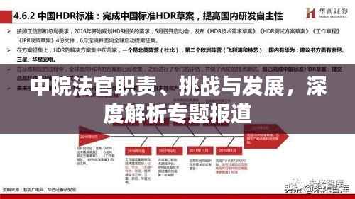 中院法官职责、挑战与发展,深度解析专题报道