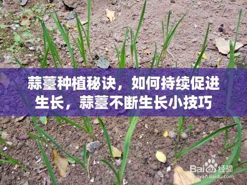 九死一生 第10页