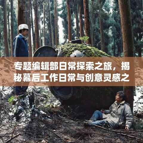 专题编辑部日常探索之旅，揭秘幕后工作日常与创意灵感之源