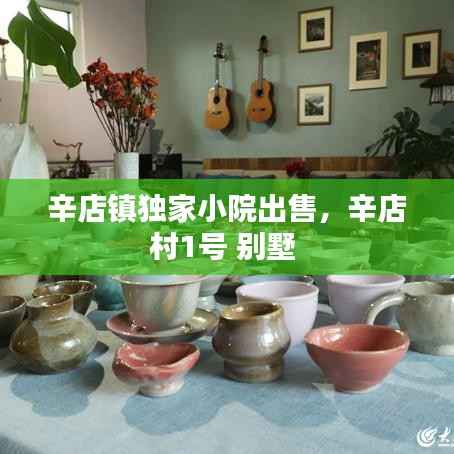 辛店镇独家小院出售,辛店村1号 别墅