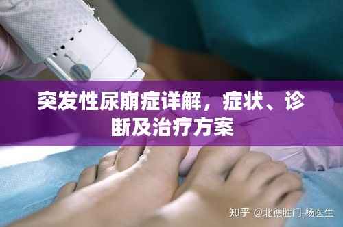 突发性尿崩症详解,症状、诊断及治疗方案