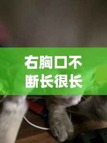 右胸口不断长很长的毛,右胸上长毛就一根好不好