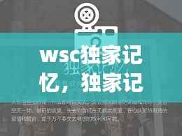 wsc独家记忆,独家记忆app