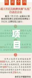 项目建设资金落实的重要性与策略探讨