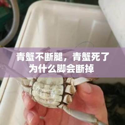 青蟹不断腿,青蟹死了为什么脚会断掉