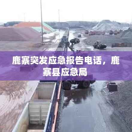 鹿寨突发应急报告电话，鹿寨县应急局 