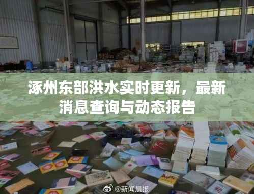 涿州东部洪水实时更新,最新消息查询与动态报告