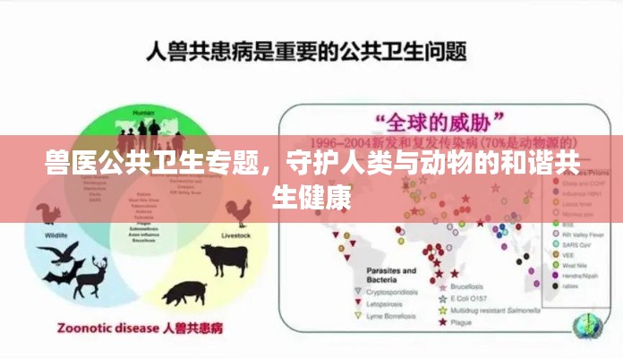 兽医公共卫生专题,守护人类与动物的和谐共生健康