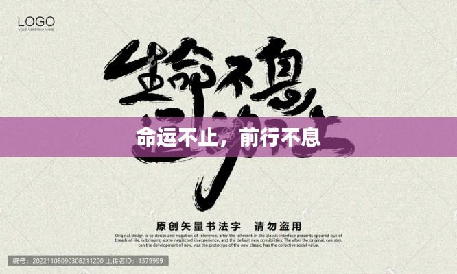 命运不止,前行不息