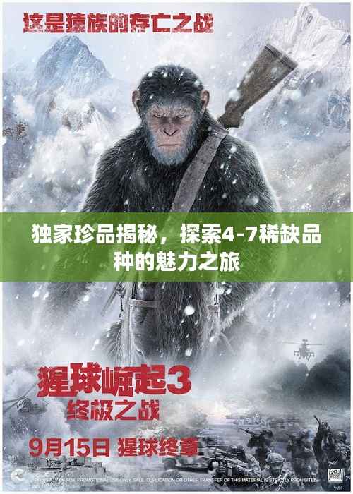 独家珍品揭秘,探索4-7稀缺品种的魅力之旅