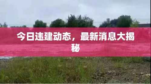 guibuzhaojiao 第7页