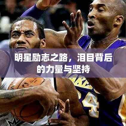 明星励志之路,泪目背后的力量与坚持