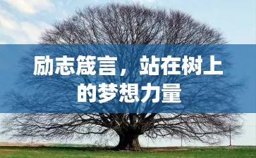 励志箴言,站在树上的梦想力量