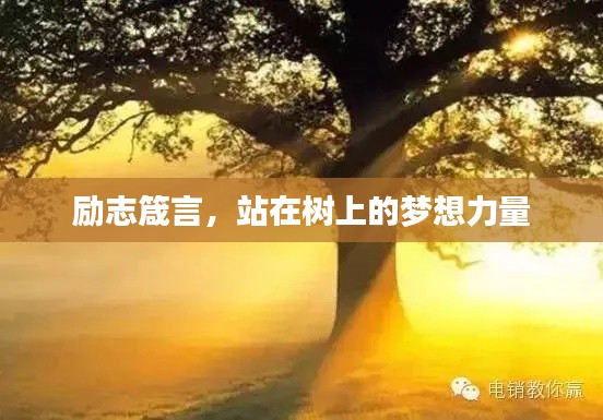 励志箴言,站在树上的梦想力量