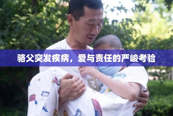 骆父突发疾病,爱与责任的严峻考验