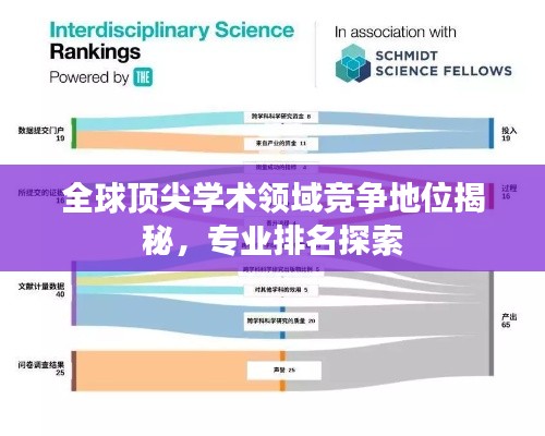 全球顶尖学术领域竞争地位揭秘,专业排名探索