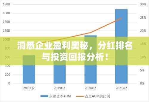洞悉企业盈利奥秘,分红排名与投资回报分析!