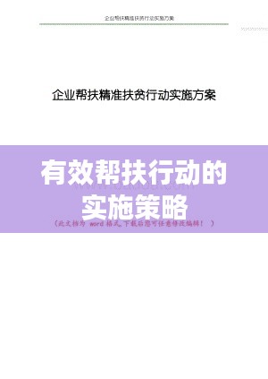 有效帮扶行动的实施策略