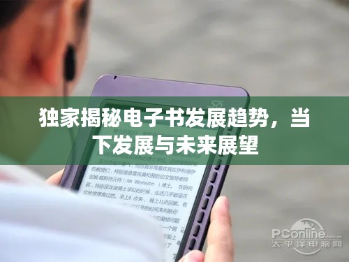 独家揭秘电子书发展趋势,当下发展与未来展望