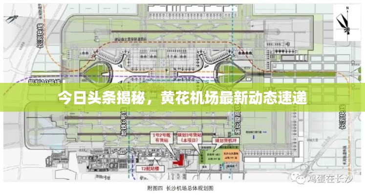 今日头条揭秘,黄花机场最新动态速递