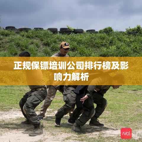 正规保镖培训公司排行榜及影响力解析