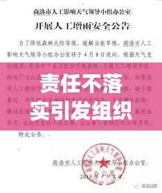 责任不落实引发组织效能滑坡与信任危机扩散