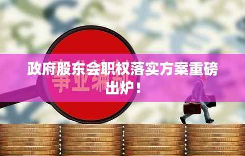 政府股东会职权落实方案重磅出炉!