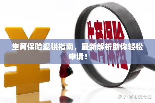生育保险退税指南,最新解析助你轻松申请!