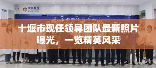 十堰市现任领导团队最新照片曝光,一览精英风采