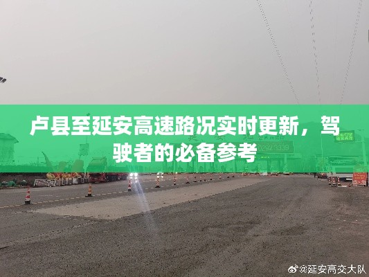 feijianruhuang 第6页