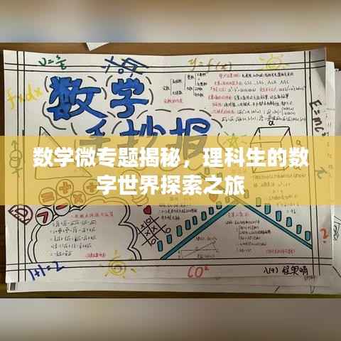 数学微专题揭秘,理科生的数字世界探索之旅