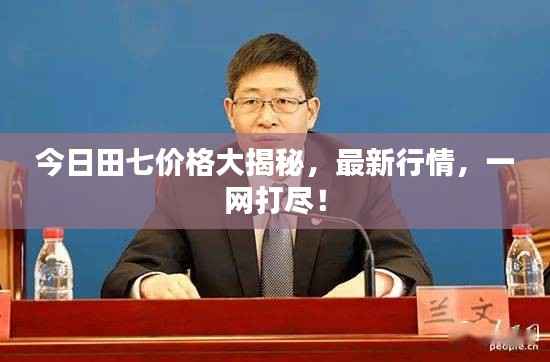 今日田七价格大揭秘,最新行情,一网打尽!