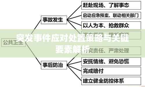 突发事件应对处置策略与关键要素解析