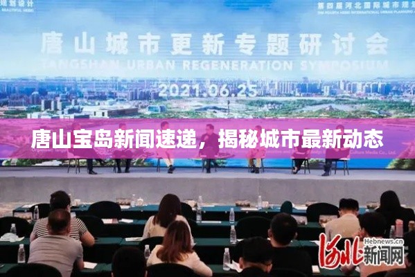 唐山宝岛新闻速递,揭秘城市最新动态