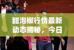 甜泡椒行情最新动态揭秘,今日市场走势及价格分析