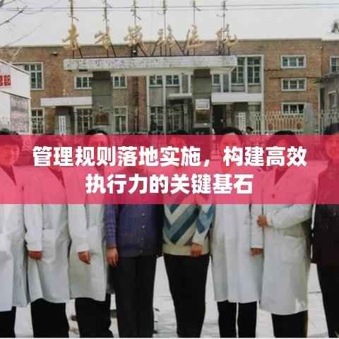 管理规则落地实施,构建高效执行力的关键基石