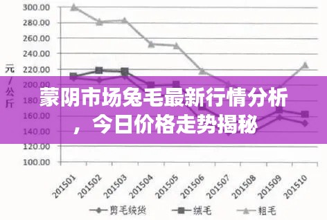 蒙阴市场兔毛最新行情分析,今日价格走势揭秘